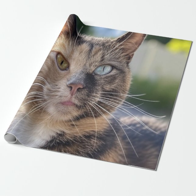 Add Cat Photo Customise Wrapping Paper (Unrolled)