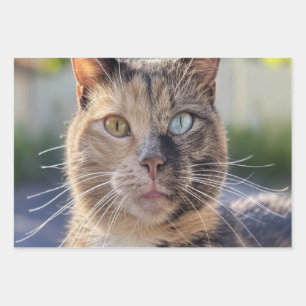 Add Cat Photo Customise Wrapping Paper Sheet