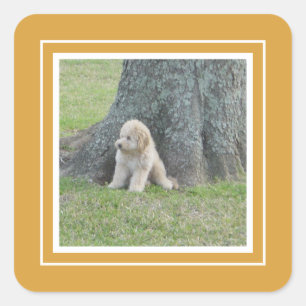 Add Custom Photo Template Golden Yellow & White Square Sticker