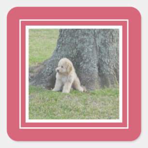 Add Custom Photo Template Hot Pink & White Square Sticker