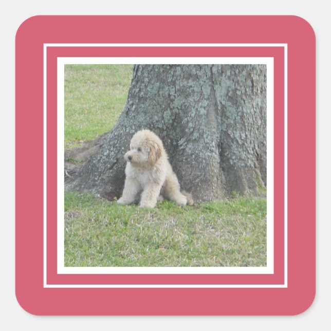 Add Custom Photo Template Hot Pink & White Square Sticker (Front)