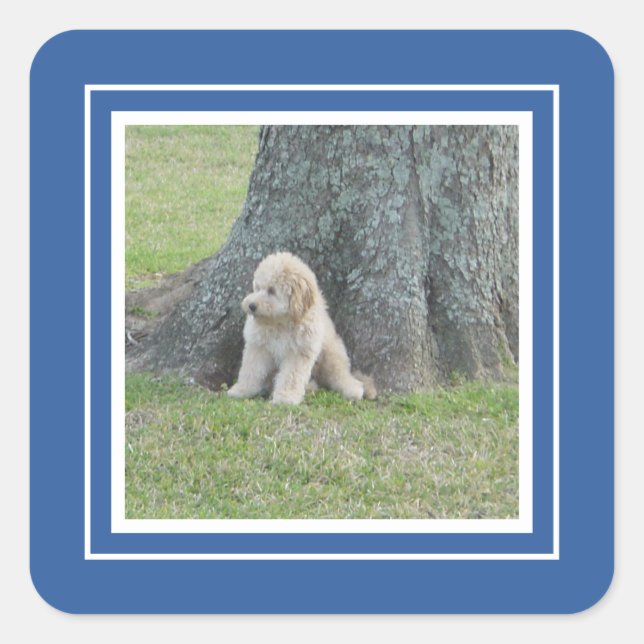 Add Custom Photo Template Royal Blue & White Square Sticker (Front)