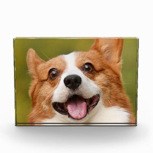 Add Dog Photo Personalised Customised Block
