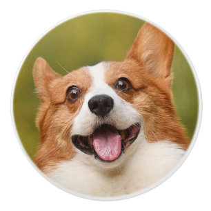 Add Dog Photo Personalised Customised Ceramic Knob