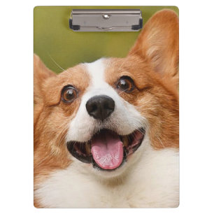 Add Dog Photo Personalised Customised Clipboard
