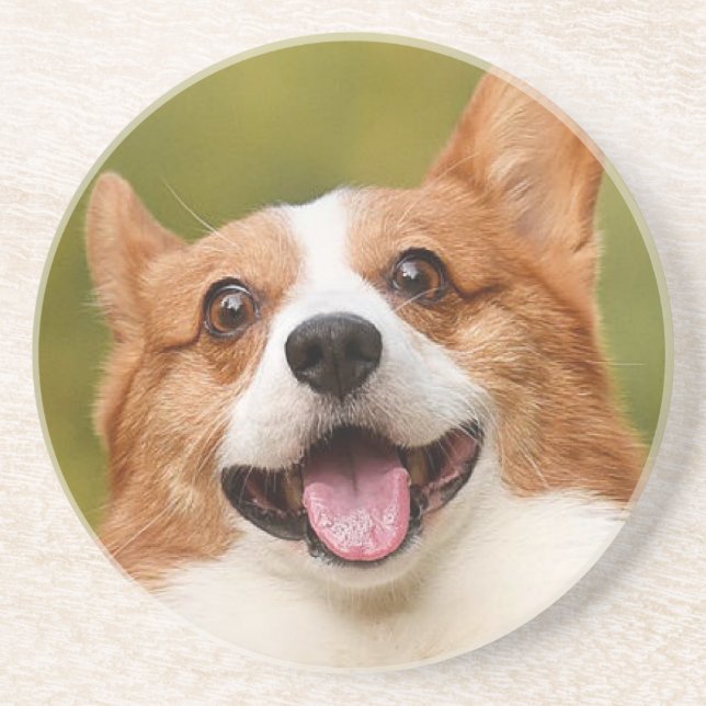Add Dog Photo Personalised Customised Coaster (Front)