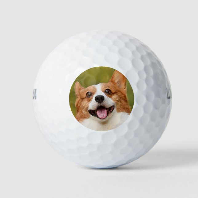 Add Dog Photo Personalised Customised Golf Balls (Front)