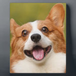 Add Dog Photo Personalised Customised Plaque<br><div class="desc">Add Dog Photo Personalised Customised,  Add Dog Photo,  Personalised,  Customised,  Dog Photo,  Dog,  Dogs,  Pet,  Pets,  Photo</div>