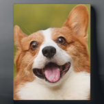 Add Dog Photo Personalised Customised Plaque<br><div class="desc">Add Dog Photo Personalised Customised, Add Dog Photo, Personalised, Customised, Dog Photo, Dog, Dogs, Pet, Pets, Photo</div>