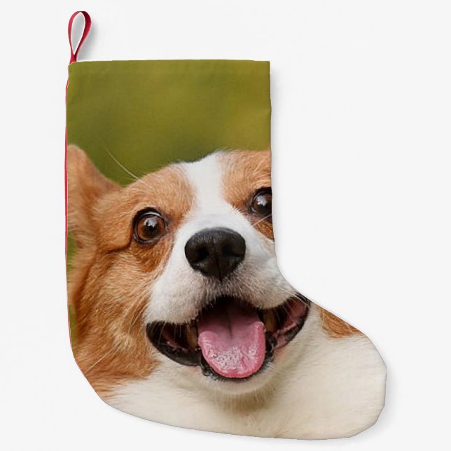 Add Dog Photo Personalised Customised Small Christmas Stocking (Front)