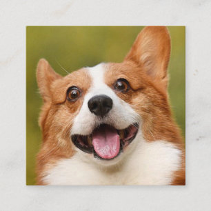 Add Dog Photo Personalised Customised Square Business Card