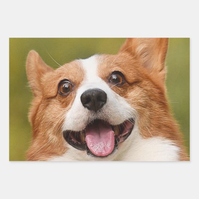 Add Dog Photo Personalised Customised Wrapping Paper Sheet (Front)