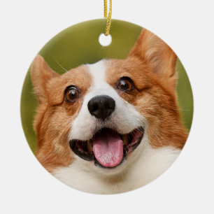 Add Dog Photo Personalized Customized Ceramic Ornament
