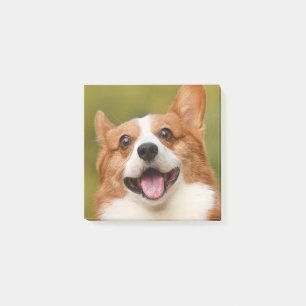 Add Dog Photo Personalized Customized Post-it Notes
