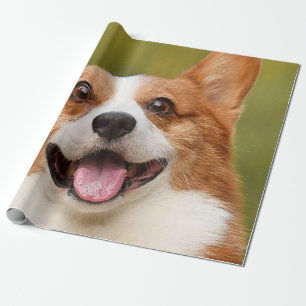 Add Dog Photo Personalized Customized Wrapping Paper