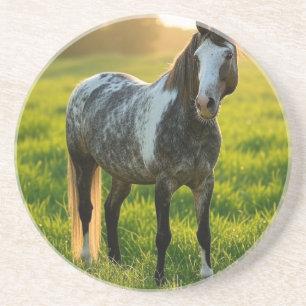 Add Horse Photo Customise Coaster