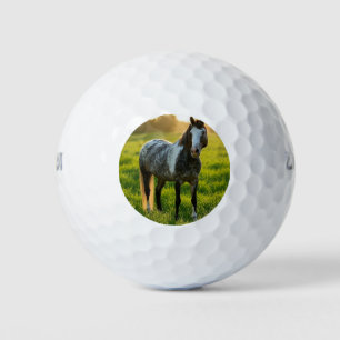 Add Horse Photo Customise Golf Balls