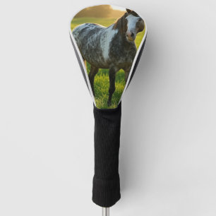 Add Horse Photo Customise Golf Head Cover