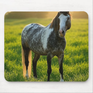Add Horse Photo Customise Mouse Pad