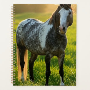 Add Horse Photo Customise Planner