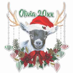 ADD NAME - Adorable Christmas Pygmy Goat Kid
