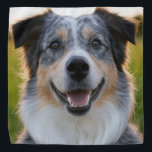 Add Pet Photo Customise Bandana<br><div class="desc">Add Pet Photo Customise,  Add Pet Photo,  Add Dog Photo,  Pet,  Pets,  Dog,  Personalise,  Customise,  Photo,  generativecontent</div>