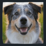 Add Pet Photo Customise Bandana<br><div class="desc">Add Pet Photo Customise,  Add Pet Photo,  Add Dog Photo,  Pet,  Pets,  Dog,  Personalise,  Customise,  Photo,  generativecontent</div>