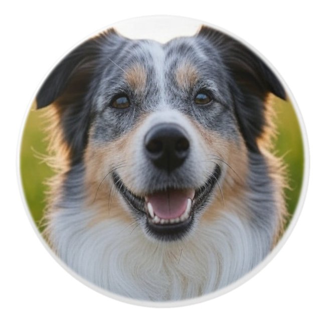 Add Pet Photo Customise Ceramic Knob (Front)