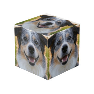 Add Pet Photo Customise Cube