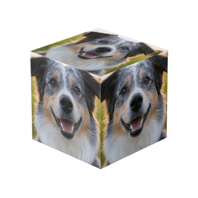 Add Pet Photo Customise Cube (Front Angled)