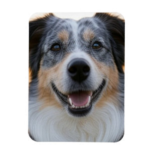 Add Pet Photo Customise Magnet
