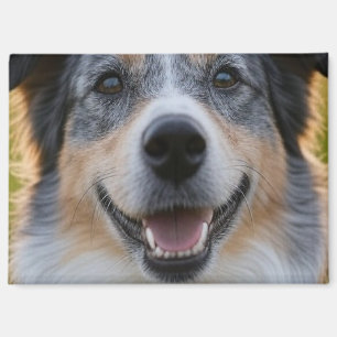 Add Pet Photo Customise Magnet