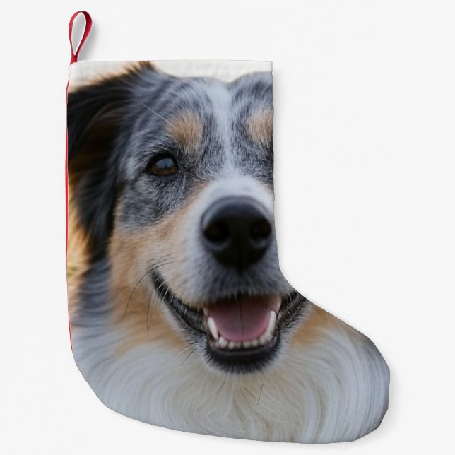 Add Pet Photo Customise Small Christmas Stocking (Front)