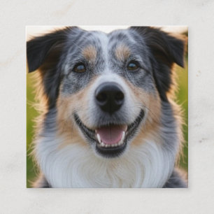 Add Pet Photo Customise Square Business Card
