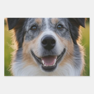 Add Pet Photo Customise Wrapping Paper Sheet