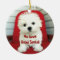 Add pet photo/person Christmas Tree Ornament