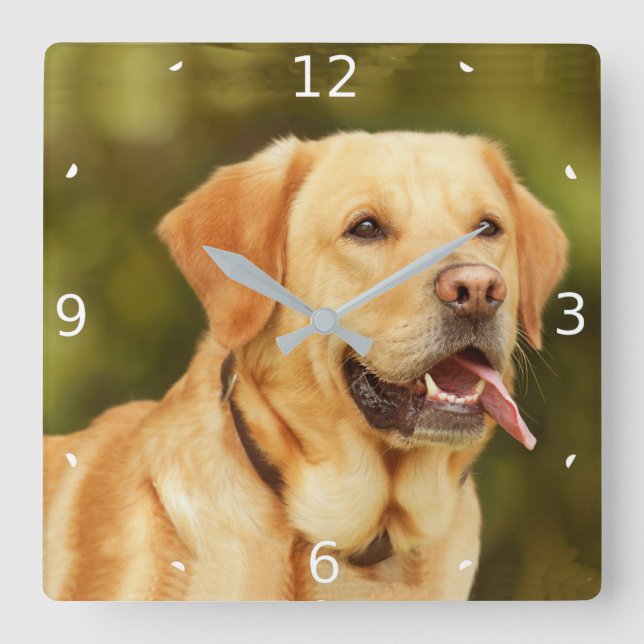 ADD PET PHOTO SQUARE WALL CLOCK (Front)