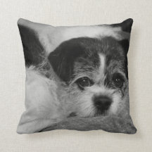 Add Pet Photo Throw Pillow