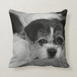Add Pet Photo Throw Pillow