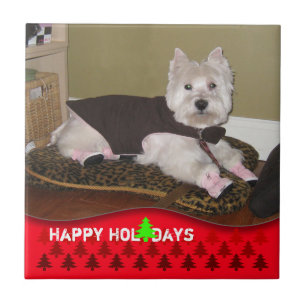 Add Pets Photo Happy Holidays Tile