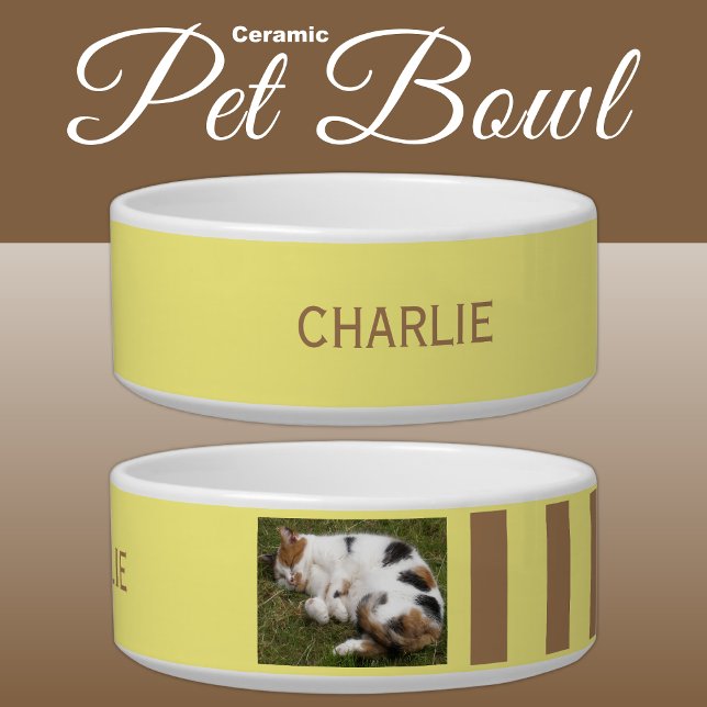 Add photo and name yellow and brown bowl (Creator Uploaded)