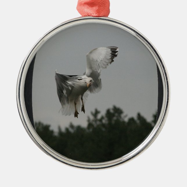 Add Photo Large Oval Frame(black) Metal Tree Decoration (Front)