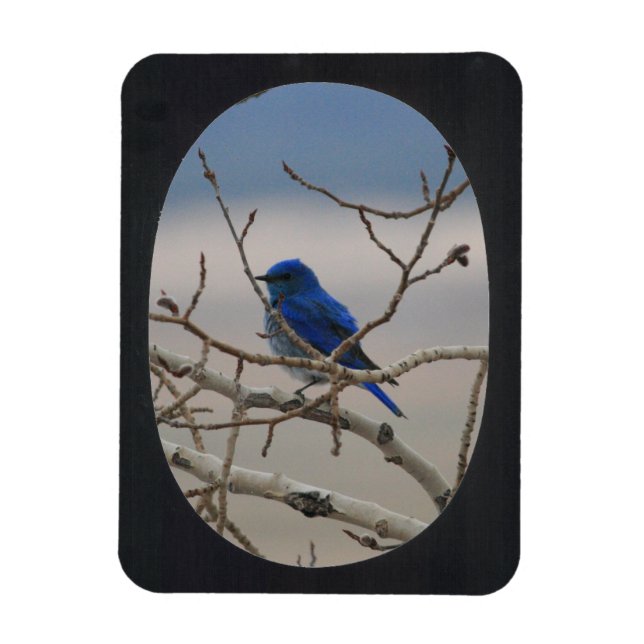 Add Photo Oval Frame(black) Magnet (Vertical)