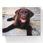 Add Photo Unique One Of A Kind Personalised