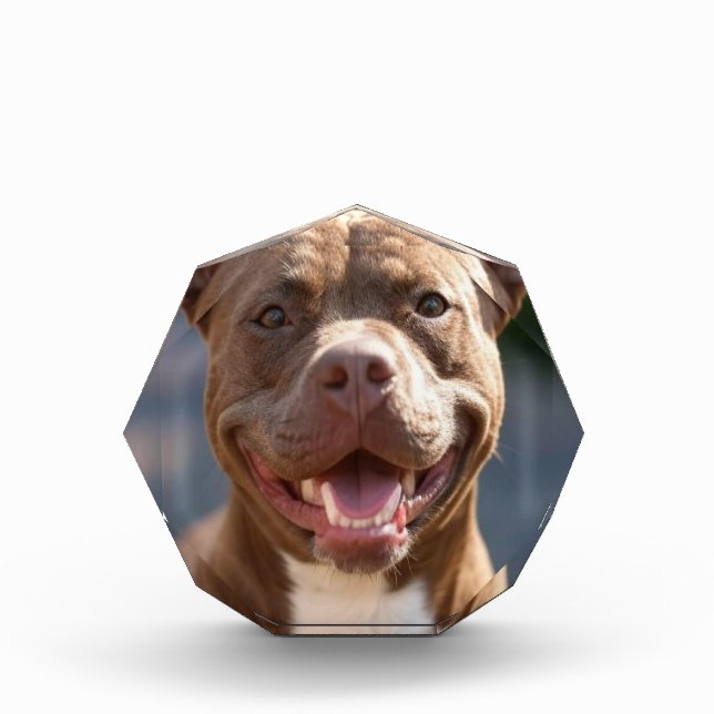 Add Pit Bull Photo Customise Block (Front)