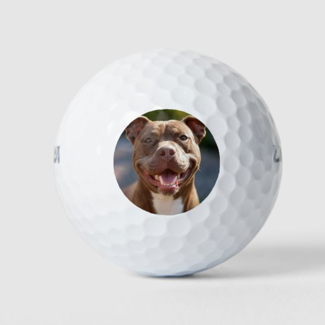 Add Pit Bull Photo Customise Golf Balls (Front)