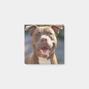 Add Pit Bull Photo Customise Post-it Notes