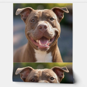 Add Pit Bull Photo Customise Wallpaper