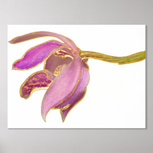 Add Quote / Coloured Background Foil Accent Orchid Prints