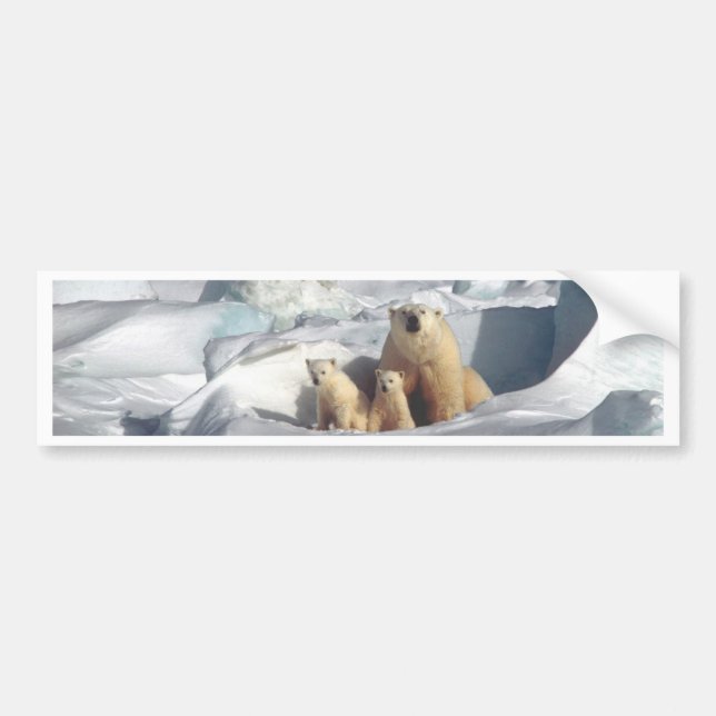 Add SLOGAN to Save Arctic Polar Bears Planet Ice Bumper Sticker (Front)